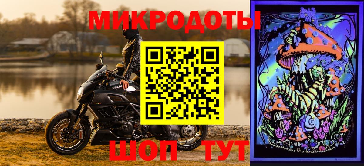 Галлюциногенные грибы GOLDEN TEACHER Нефтекумск